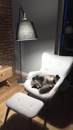 Chcecie odmienic swoje wnętrze? Wybierzcie lampy podłogowe Azzardo!