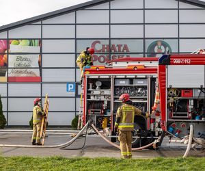 Gigantyczny pożar w galerii i śmierć papug. Strażacy bronią swoich działań, poseł grzmi o papugarniach