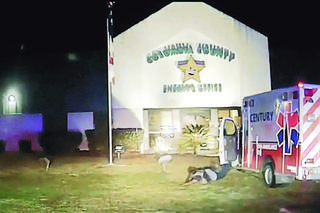 Uciekł przed policją na posterunek