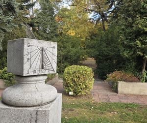 Jesień w Ogrodzie Botanicznym UKW. To ostatnia szansa na spacer wśród złotych liści!