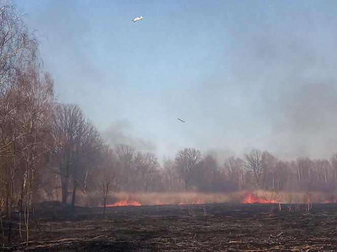 Potężny pożar na Śląsku! Strażacy kilka godzin walczyli z ogniem