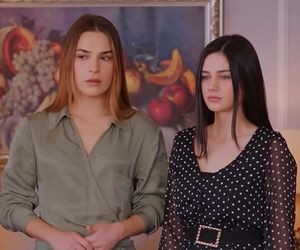 Miłość i nadzieja odc. 298. Sila, Bahar