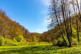 Świętokrzyski Park Narodowy - co warto zobaczyć?