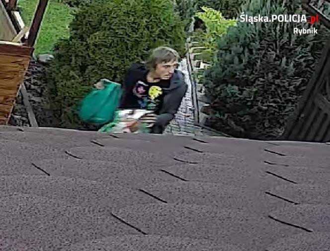 Złodziej włamał się do altanki przy ul. Mglistej w Rybniku