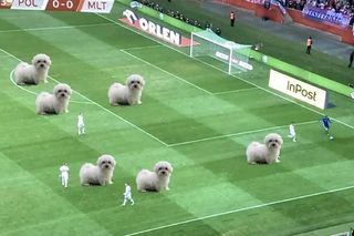 MEMY po meczu Polska Malta