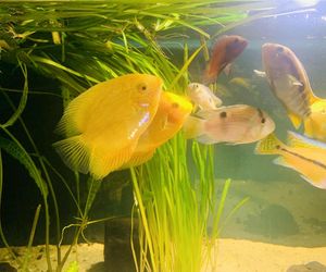 Rozmawiamy z Tomaszem Wiśniewskim, założycielem Aqua Dreams Bydgoszcz