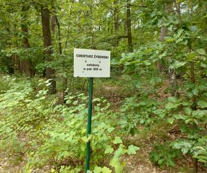 Pomorskie. Zdewastowano cmentarz żydowski w Skarszewach