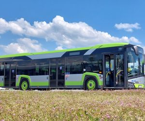 MZK Piła wprowadza wakacyjny rozkład