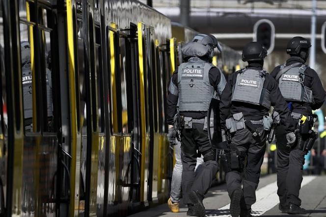 Strzelanina w Holandii