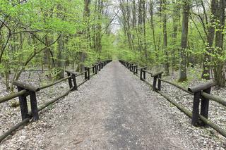 Aleja Załogi Samolotu Kościuszko