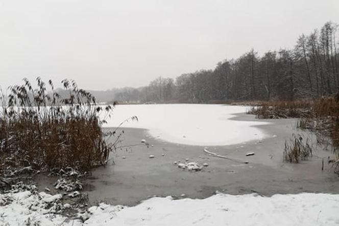 Jezioro Rusałka w zimowej aurze