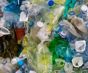 To koniec problemu ze śmieciami? Naukowcy odkryli że grzyby mogą zjadać plastik