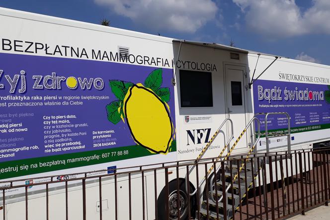 Cytomammobus ŚCO 