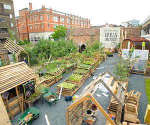 The Union Street Urban Orchard czyli miejski ogród w Londynie, wspólne przedsięwzięcie mieszkańców, artystów, architektów, ogrodników i naukowców. 