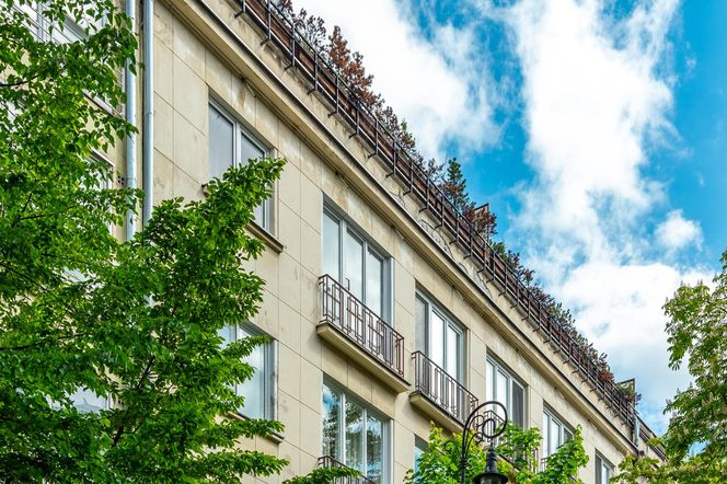 Aleja Przyjaciół w Warszawie