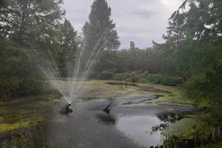 Arboretum Bolestraszyce