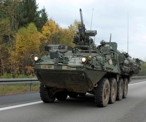 Bułgaria kupuje amerykańskie transportery Stryker. Udało się zbić cenę