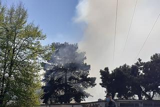 Pożar w garażach w Toruniu