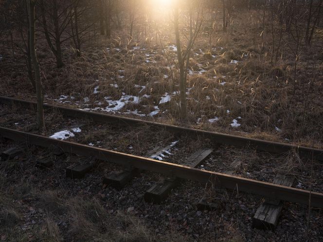 Lokomotywa krzyczy głosem bitego człowieka". Obchody 80. rocznicy wyzwolenia Auschwitz