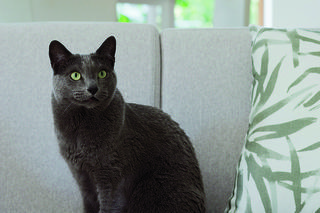 Białe mieszkanie w Gdańsku