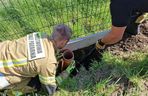 Niecodzienna akcja strażaków. Uratowali sarnę, która wpadła do głębokiego dołu