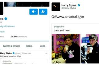 Harry Styles tweetuje link do porno ze swoim udziałem. Afera z #Larry