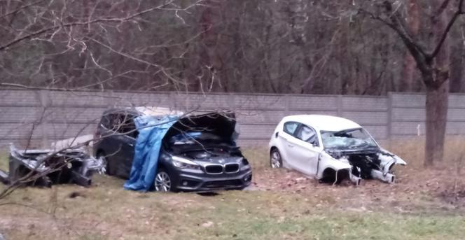 Policjanci rozbili dziuplę samochodową