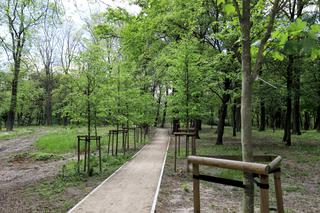 Park Tysiąclecia w Toruniu wygląda coraz piękniej! Zobacz efekty prac na lewobrzeżu