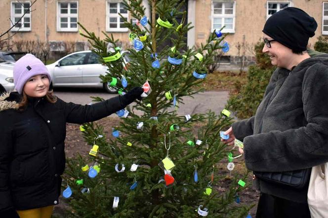 Pod Komendą Miejską Policji w Olsztynie stanęła oryginalna choinka. Każdy może ją "rozebrać" [ZDJĘCIA]