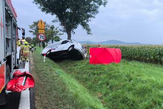 Bus uderzył w drzewo koło Wrocławia. Dwie osoby nie żyją