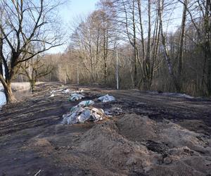 Powstaje park linowy w Białymstoku! To nowa inwestycja na plaży Dojlidy