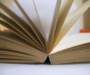 Gloria victis - Eliza Orzeszkowa: opracowanie, streszczenie, problematyka, PODCAST