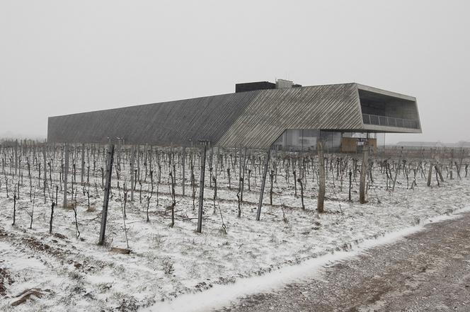 Współczesna architektura i winnice: Weingut Preisinger, Austria