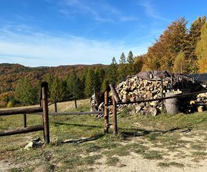 Małopolskie pasmo górskie zachwyca jesiennym pięknem. Ukryta perełka z widokiem na tatry 