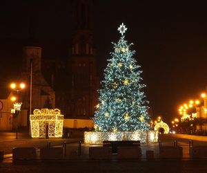 Świąteczna choinka na Rynku Kościuszki w Białymstoku