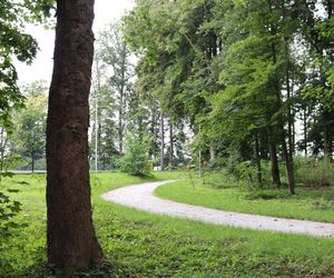 Zabytkowy park pod Lubawą zmienił się nie do poznania. Teraz wygląda jak z bajki