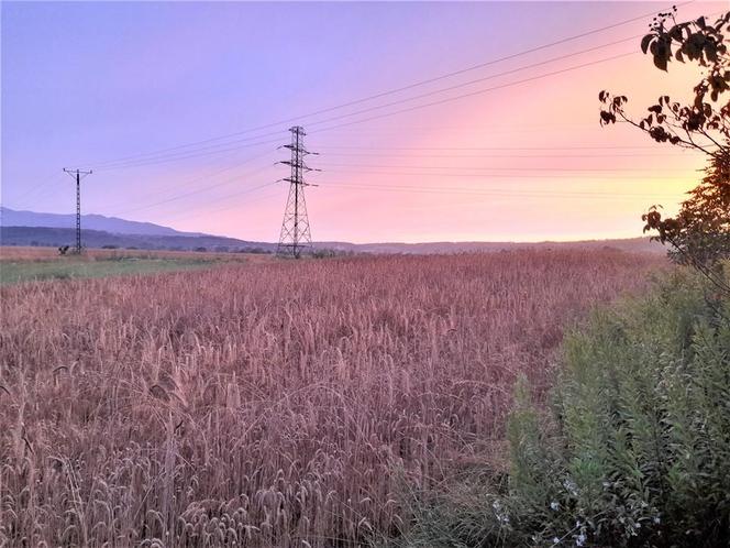 Uwaga przy pracach polowych! Są kolejne wypadki w naszym regionie