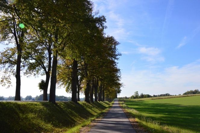 Green Velo to najdłuższy szlak rowerowy w woj. warmińsko-mazurskim