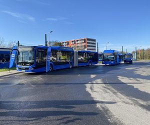 Pracownicy Mobilisa skarżą się na nierówne traktowanie i niskie zarobki. Mamy oświadczenie spółki 