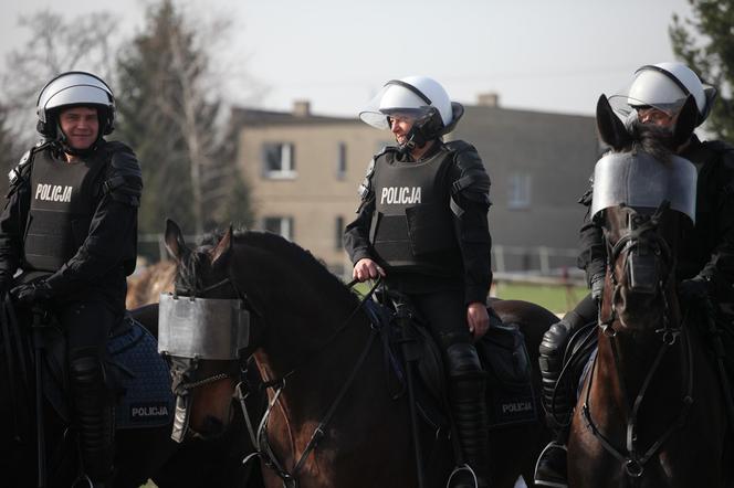 Poznań: Policja konna przeszła egzaminy i otrzymała atest [ZDJĘCIA]