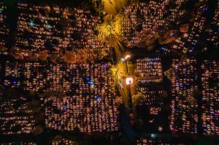 Przepiękne zdjęcia z Cmentarza Łostowickiego w Gdańsku. Tak wyglądał na Wszystkich Świętych