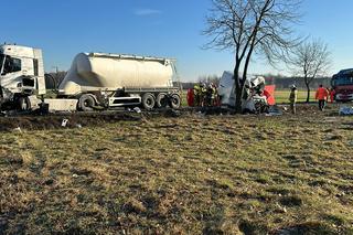 Śmiertelny wypadek pod Opocznem. 39-latek z busa nie przeżył zderzenie z tirem