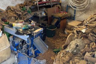 Zlikwidowano nielegalną krajalnię tytoniu w Bytomiu. Przejęto blisko 10 ton suszu tytoniowego