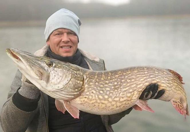 Pan Rafał złowiła szczupaka-giganta! "Nie sądziłem, że będzie tak wielka"