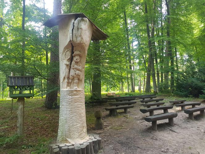 Leśne Arboretum Warmii i Mazur w Kudypach