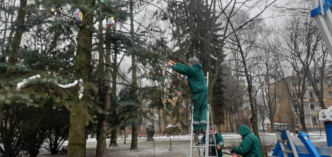 Choinka na LSM jest już ozdobiona. Dzieci przygotowały recyklingowe ozdoby [GALERIA, WIDEO]