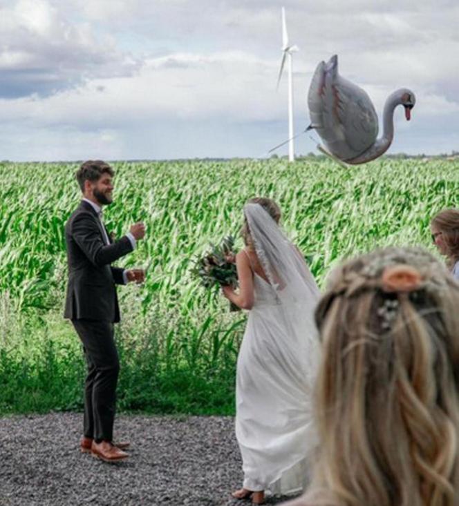 Ten balon przeleciał niemal tysiąc kilometrów. Niecodzienne odkrycie w lesie