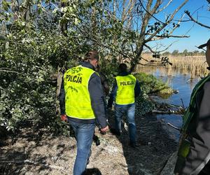 Mężczyźni zabili ok. 300 piskląt! Są już w rękach policji