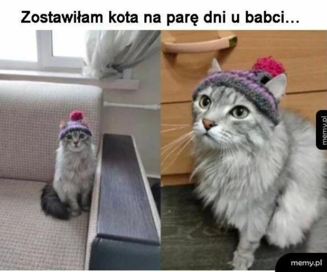 Memy na Dzień Babci 