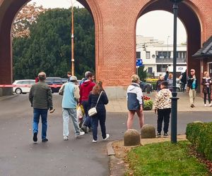 Przygotowania do 1 listopada na Cmentarzu Centralnym w Szczecinie